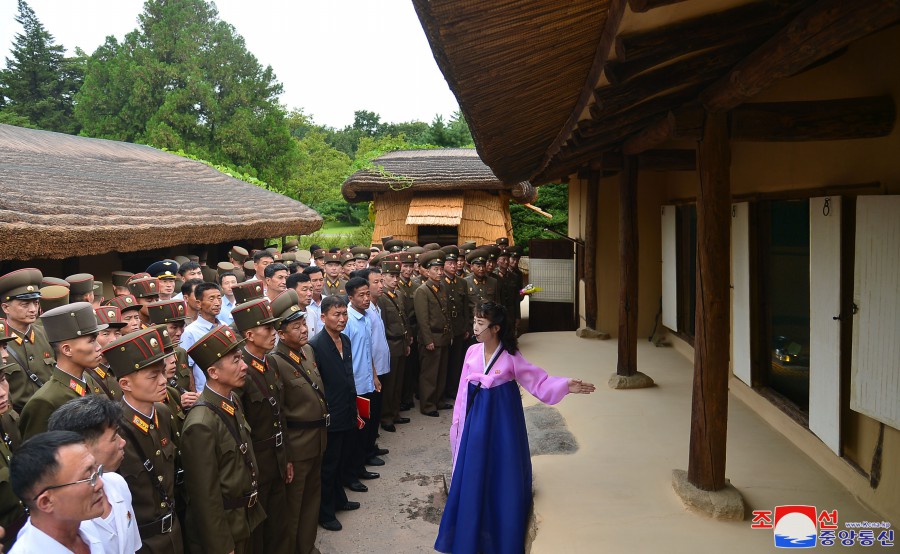 祖国解放战争胜利７０周年庆祝活动参加者参观万景台和平壤市各处