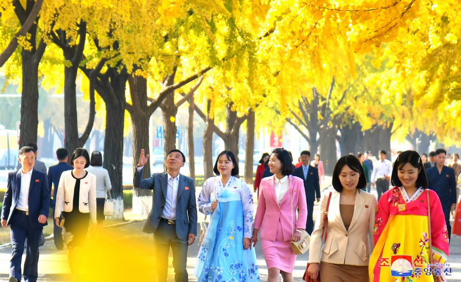 更加亮丽的市街