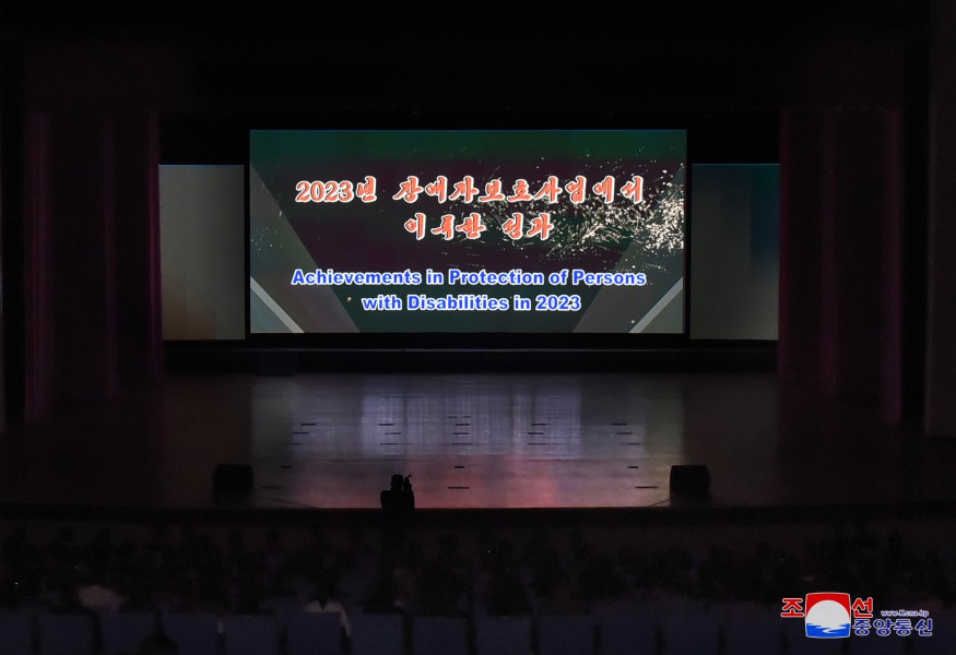 我国举行国际残疾人日纪念活动