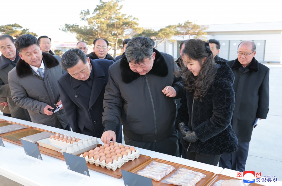 경애하는 김정은동지께서 새로 일떠세운 광천닭공장을 현지지도하시였다