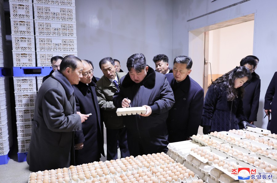 경애하는 김정은동지께서 새로 일떠세운 광천닭공장을 현지지도하시였다