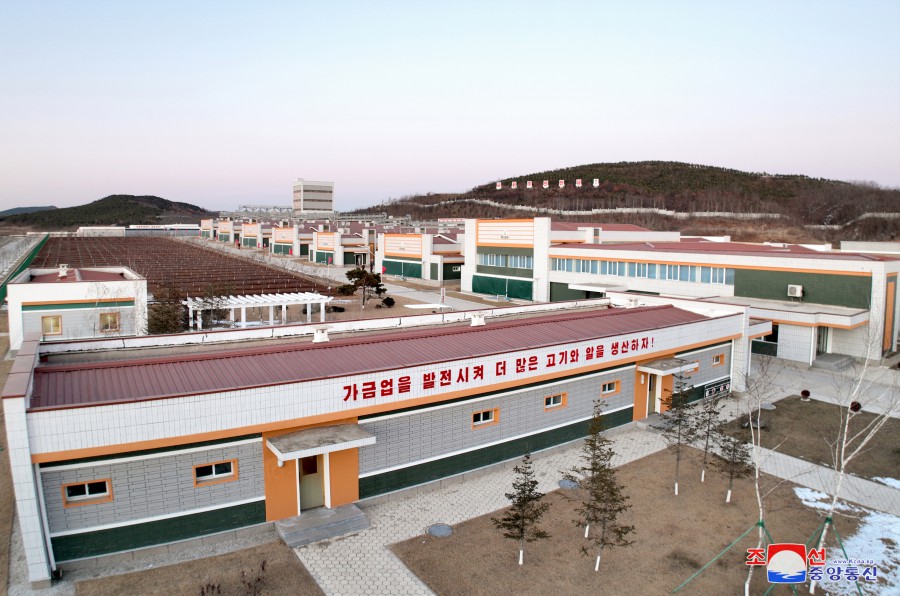 경애하는 김정은동지께서 새로 일떠세운 광천닭공장을 현지지도하시였다
