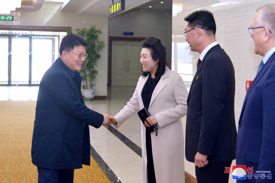 出访俄罗斯的朝鲜政府经济代表团回国