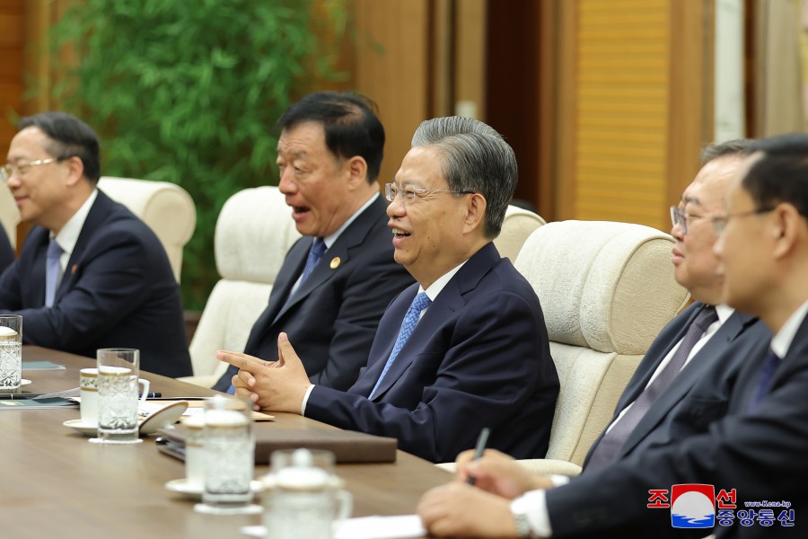 敬爱的金正恩同志会见中华人民共和国党政代表团