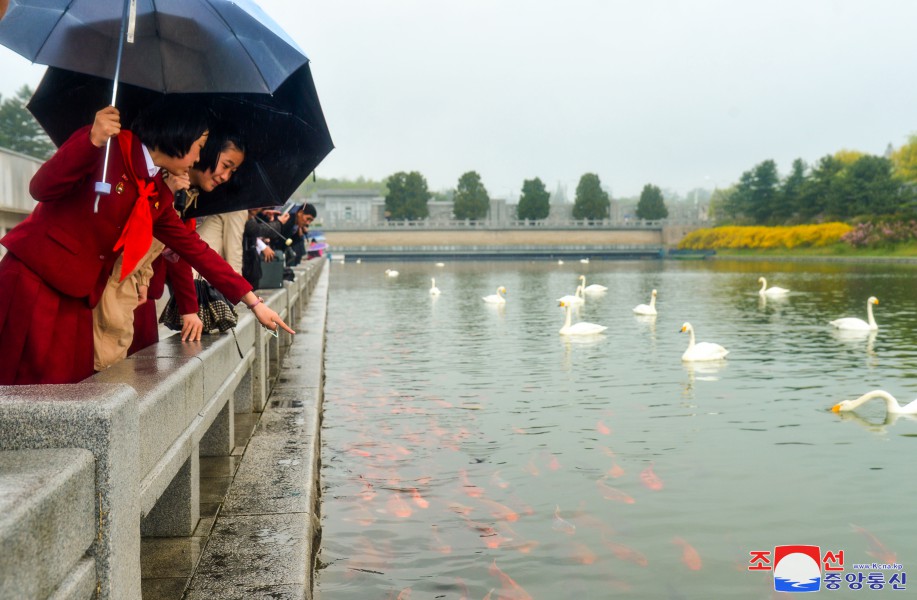 全国人民隆重庆祝民族最大的喜庆节日——４月１５日