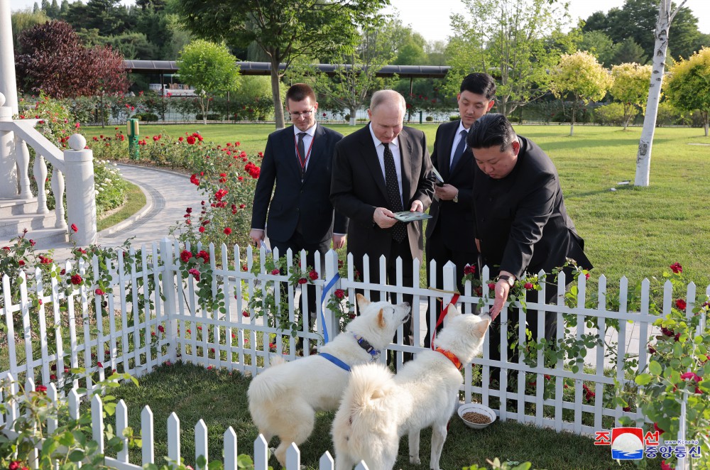 ﻿Уважаемый товарищ Ким Чен Ын провел время вместе с товарищем Путиным в садовом районе Резиденции для почетных гостей «Кымсусан» и укрепил дружеские отношения с ним