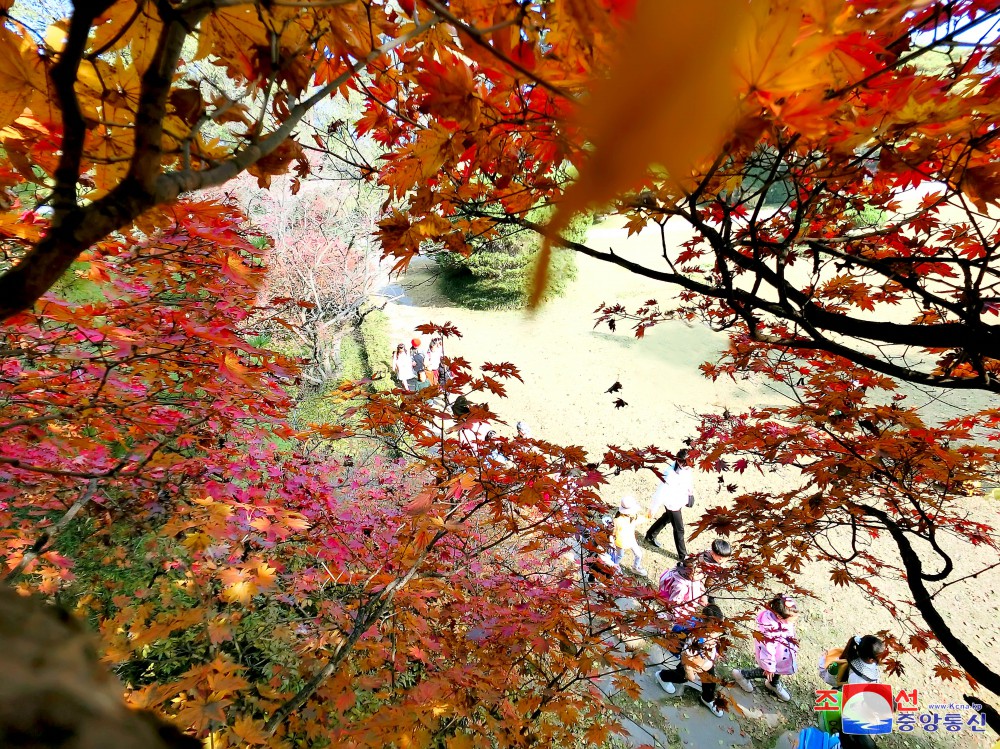 牡丹峰红叶异彩夺目