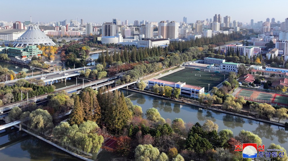 平壤市开展国土管理工作取得成果