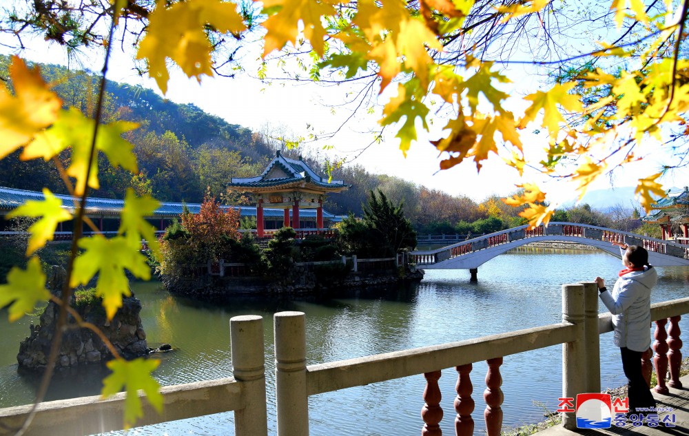 龙岳山引人入胜的红叶风景