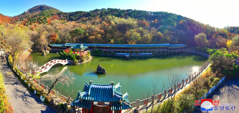 龙岳山引人入胜的红叶风景