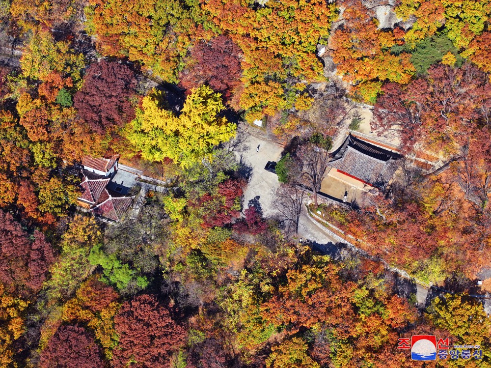 龙岳山引人入胜的红叶风景