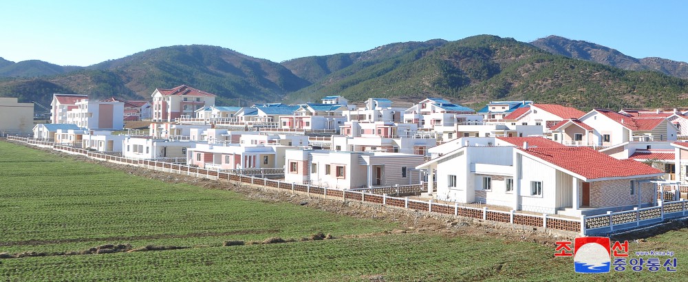 开城市板门区东内农场喜乔迁