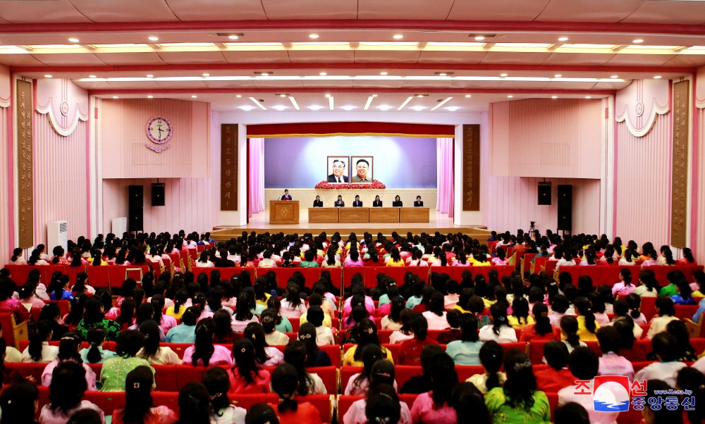 各群众团体在伟大领导者金正日同志逝世１３周年之际举行集会