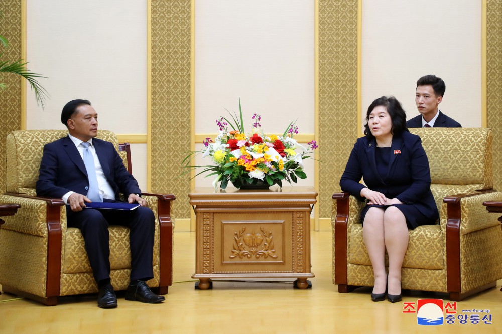 朝鲜民主主义人民共和国外务相崔善姬会见老挝人民民主共和国外交部代表团