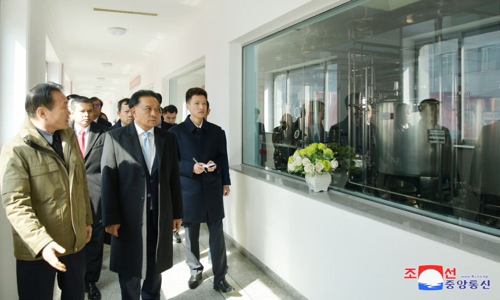 老挝外交部代表团参观平壤各处