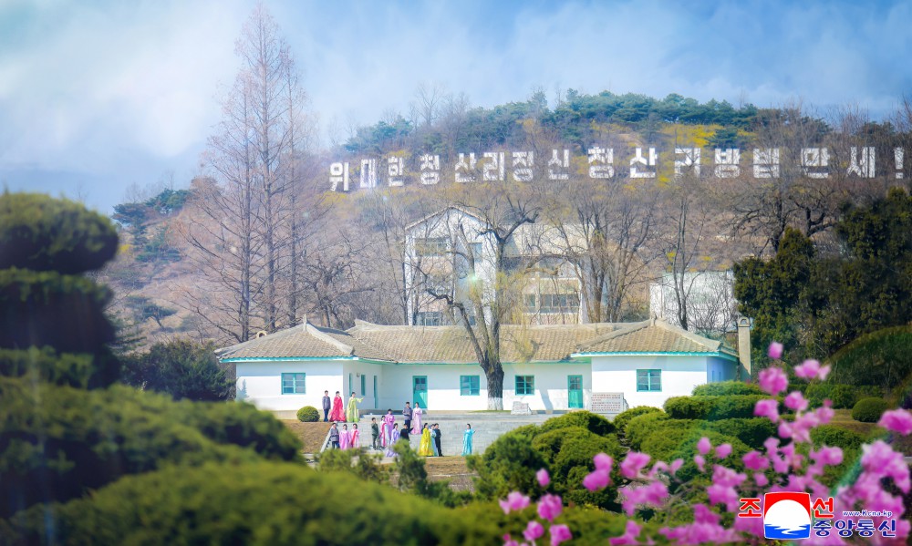 Agricultural Workers in DPRK