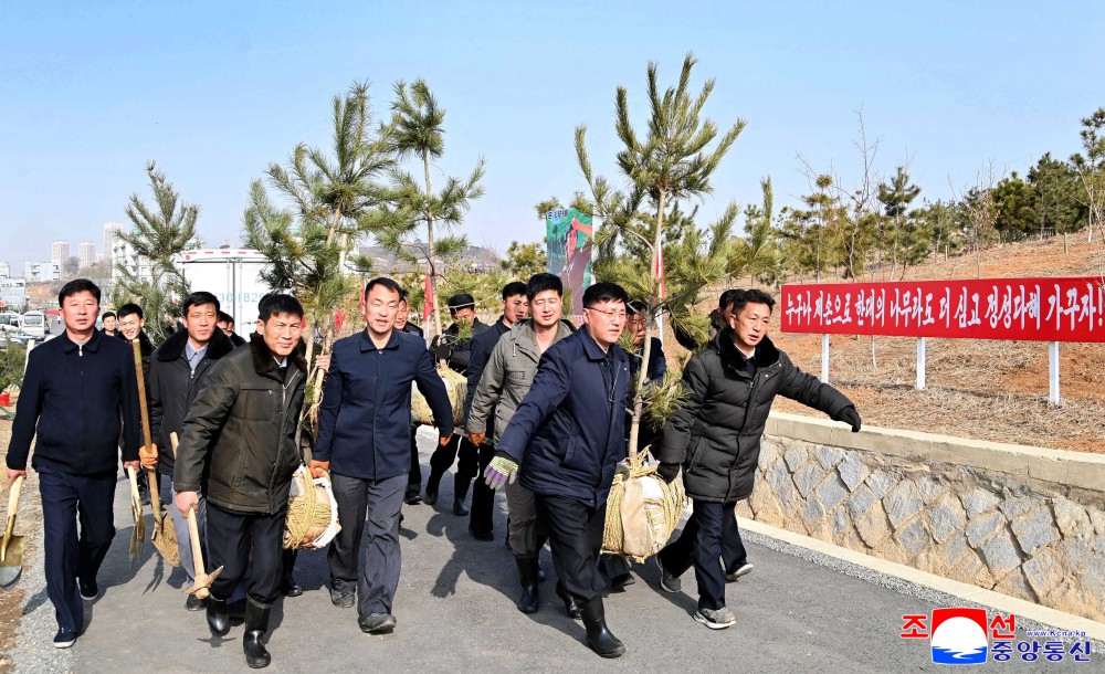 今年春季植树期间全国共栽两亿数千万棵树木