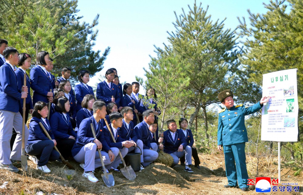 今年春季植树期间全国共栽两亿数千万棵树木
