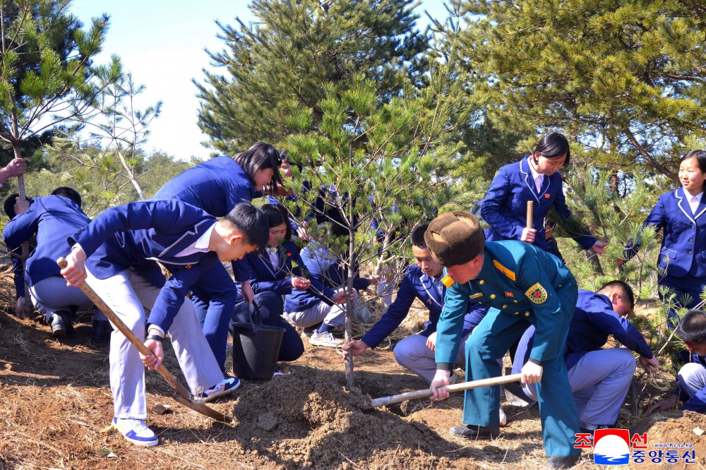今年春季植树期间全国共栽两亿数千万棵树木