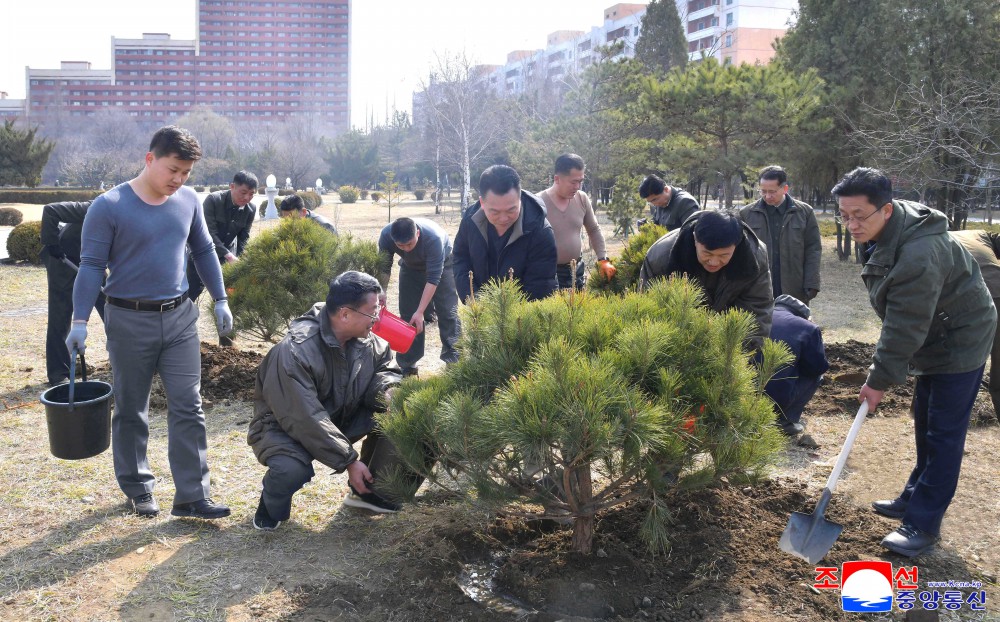 今年春季植树期间全国共栽两亿数千万棵树木