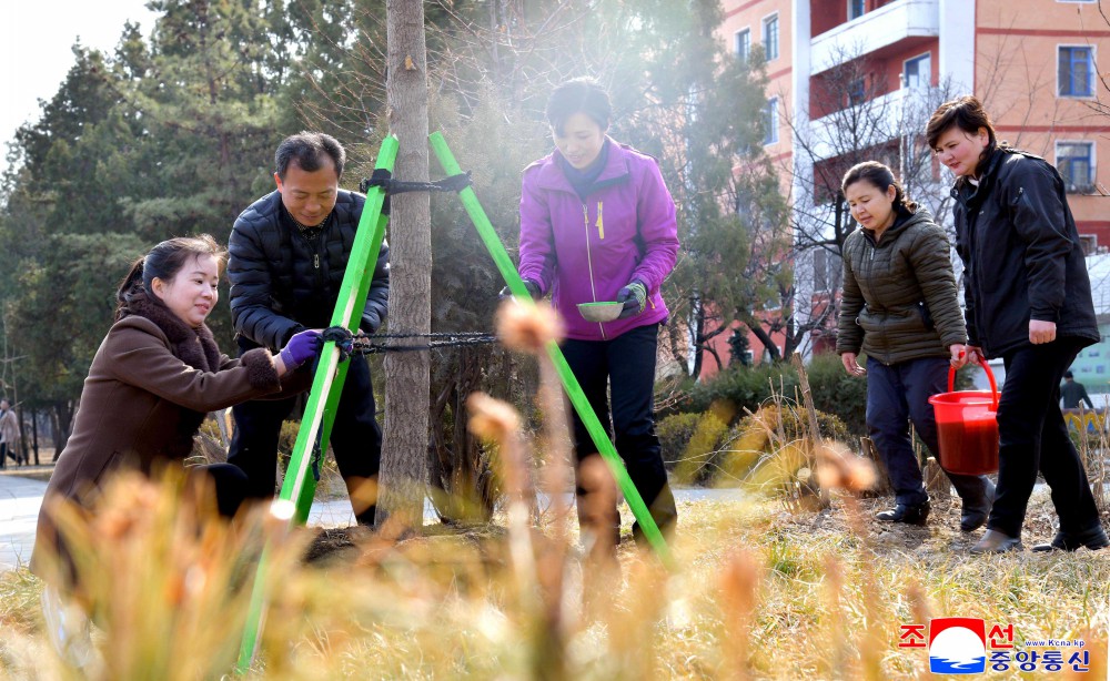 今年春季植树期间全国共栽两亿数千万棵树木