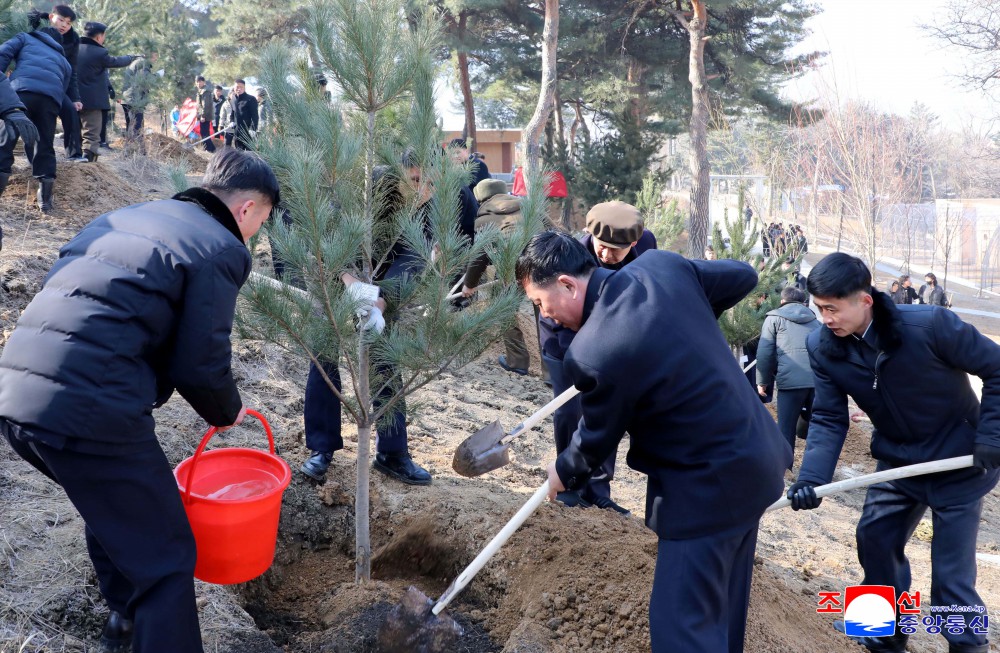 今年春季植树期间全国共栽两亿数千万棵树木