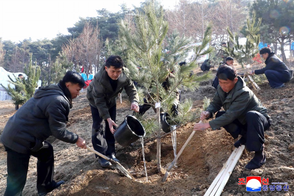 今年春季植树期间全国共栽两亿数千万棵树木