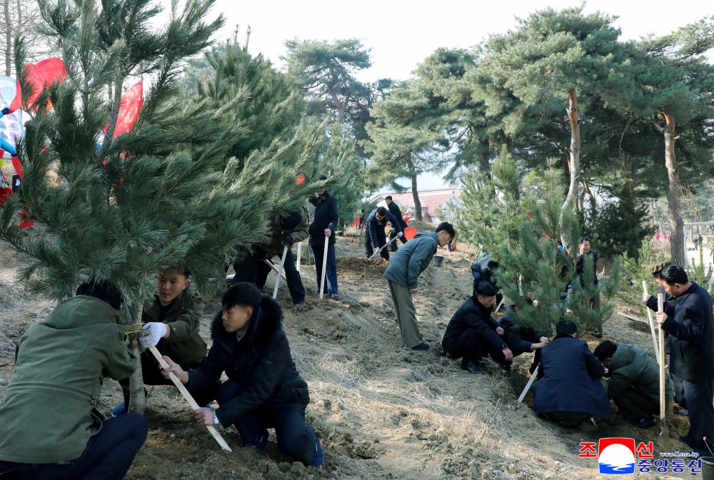 今年春季植树期间全国共栽两亿数千万棵树木