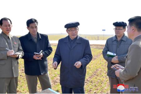 内阁总理朴泰成考察黄海南道农业部门工作