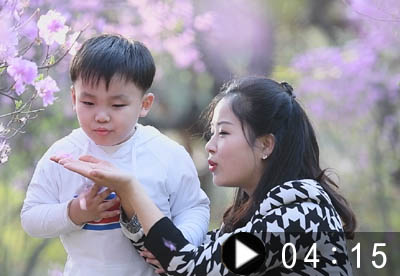 Pyongyang Pride- Landscape of Moran Hill in Spring